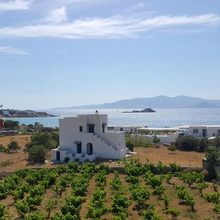 Matina Naxos - Mikri Vigla Guest House Cameră foto