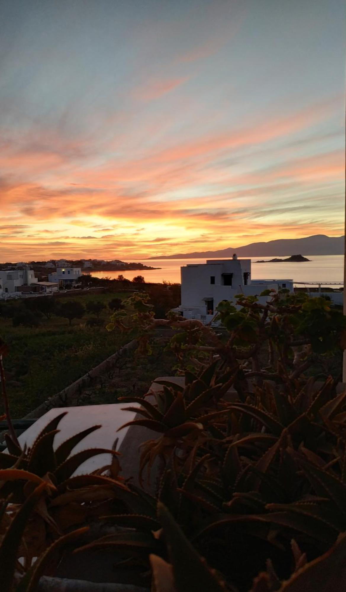 Matina Naxos - Mikri Vigla Guest House Cameră foto