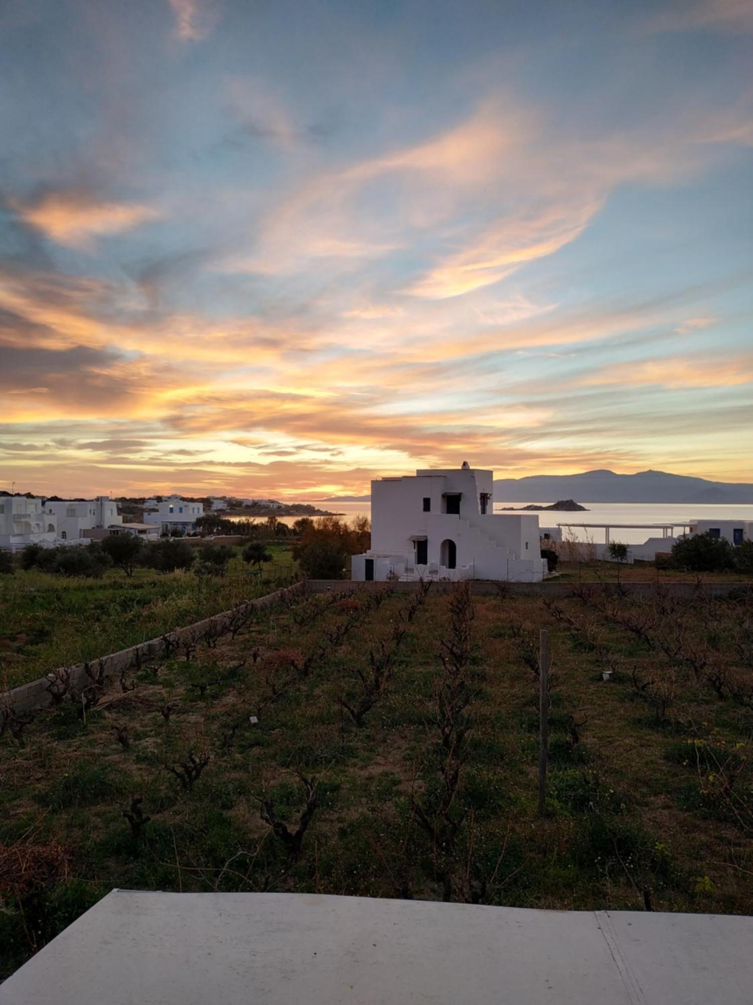 Matina Naxos - Mikri Vigla Guest House Cameră foto